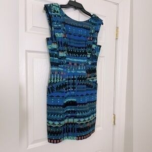 Vintage Plenty by Tracy Reese size 4 sleeveless shift jumper dress